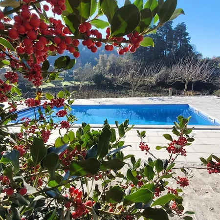 Casa Dos Strecht'S Guest House Castelo de Paiva Exterior photo